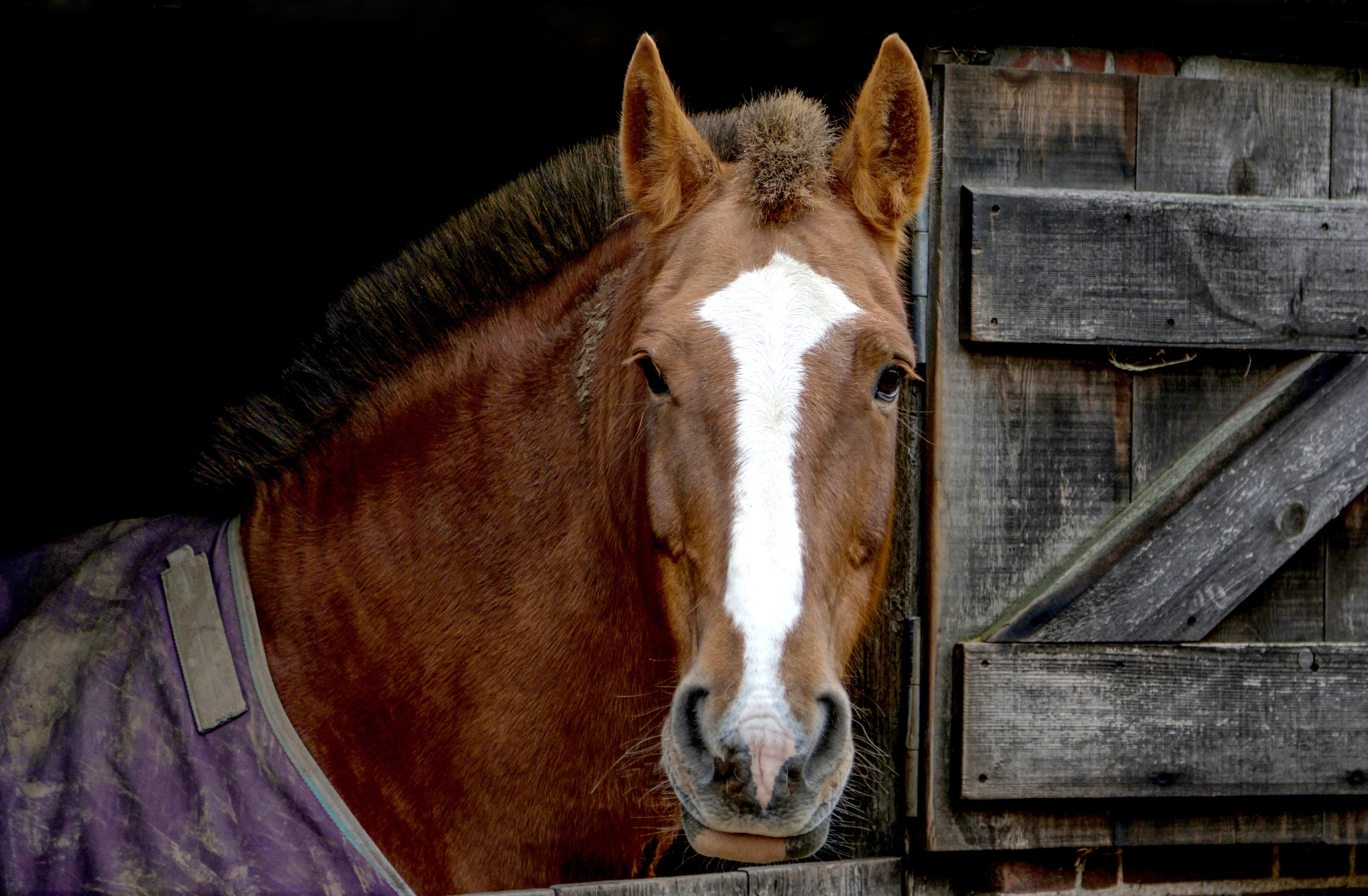 Dairy Barns Bed & Breakfast-官方