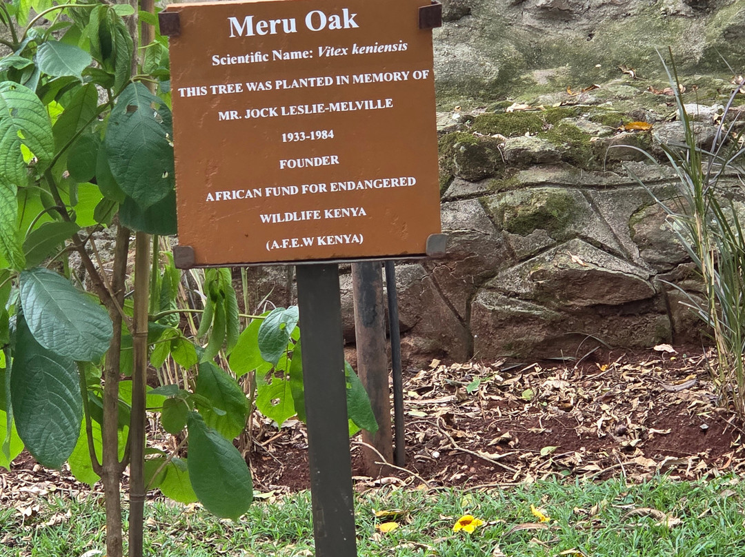 Super Africa Wildlife And Adventure Safaris-Kisii必去景点