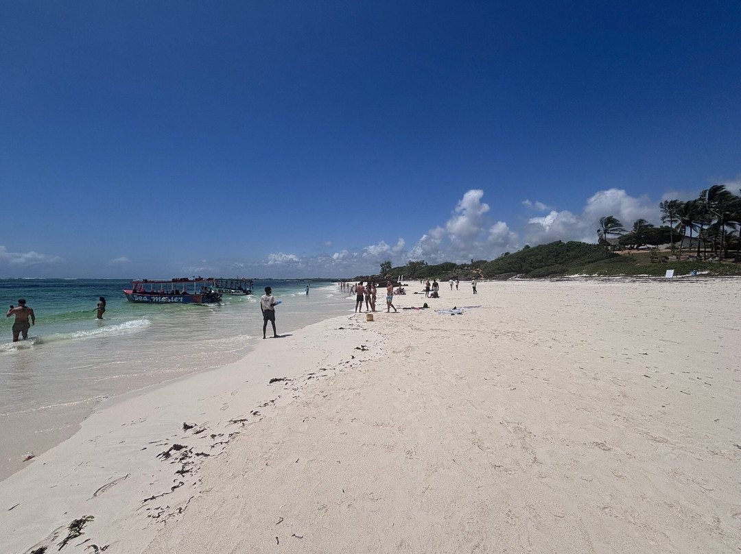 SavanaBeat - Safari & Tour in Kenya-瓦塔木必去景点