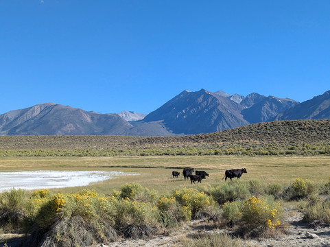 Laurie En Californie-圣地亚哥必去景点