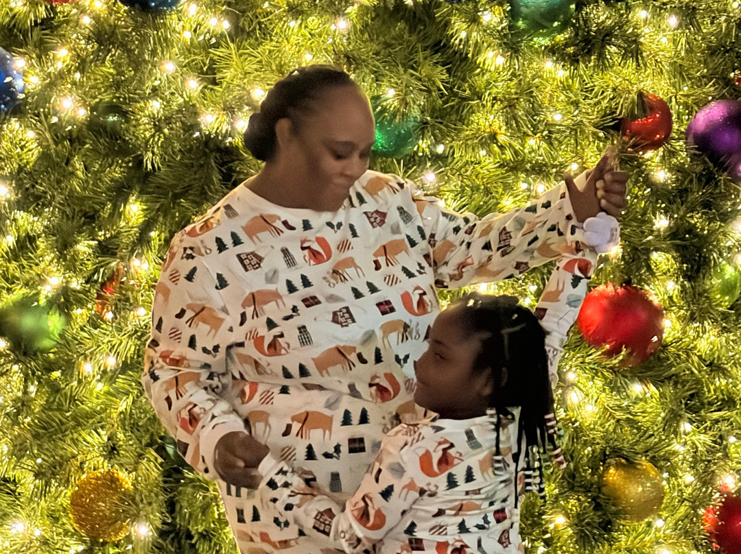 The Inn at Christmas Place主图