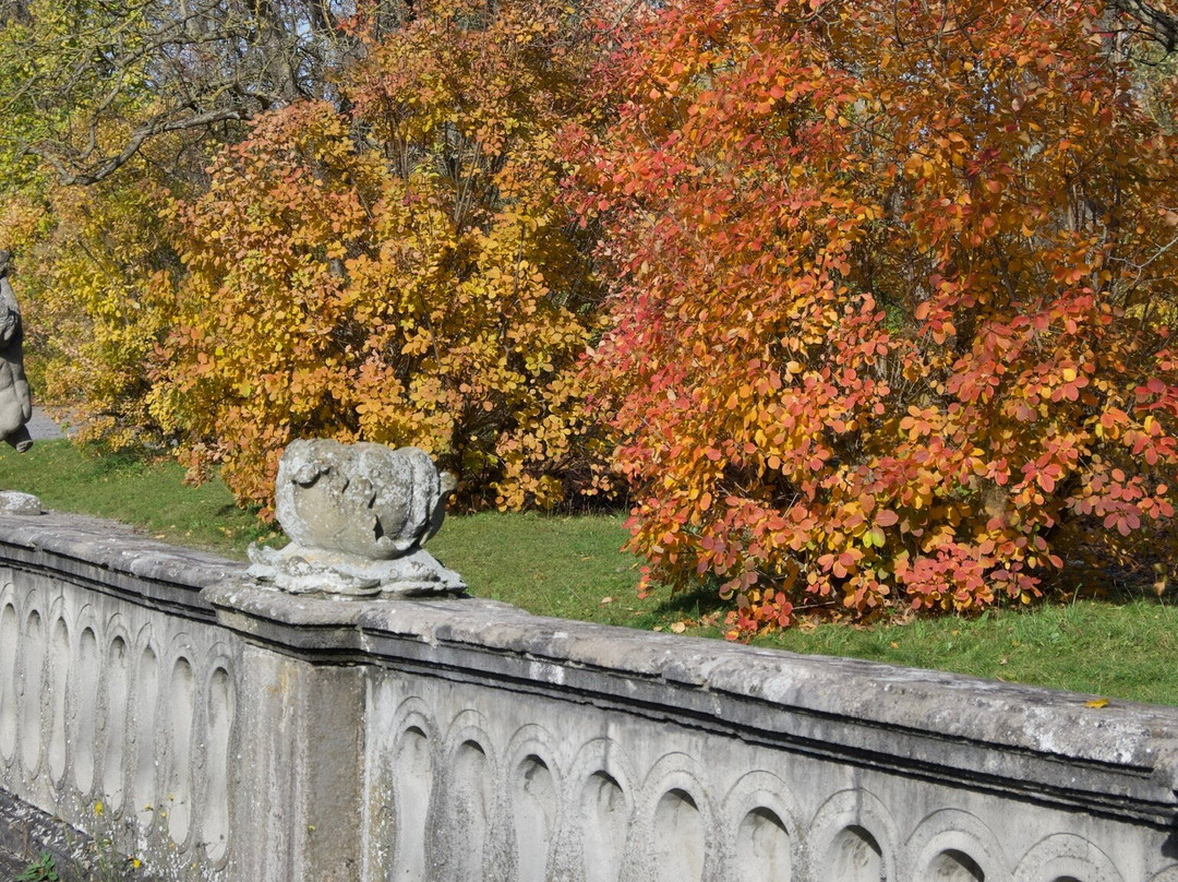 Der Hofgarten-维尔茨堡必去景点