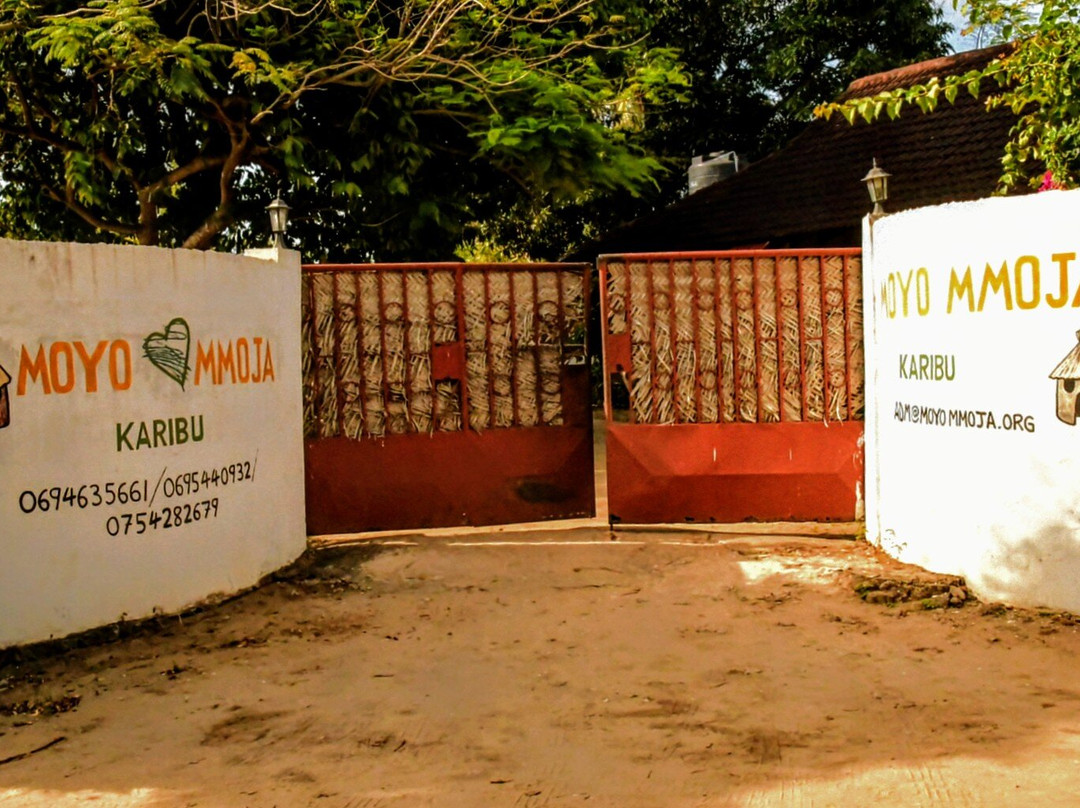 Moyo Mmoja Guesthouse主图