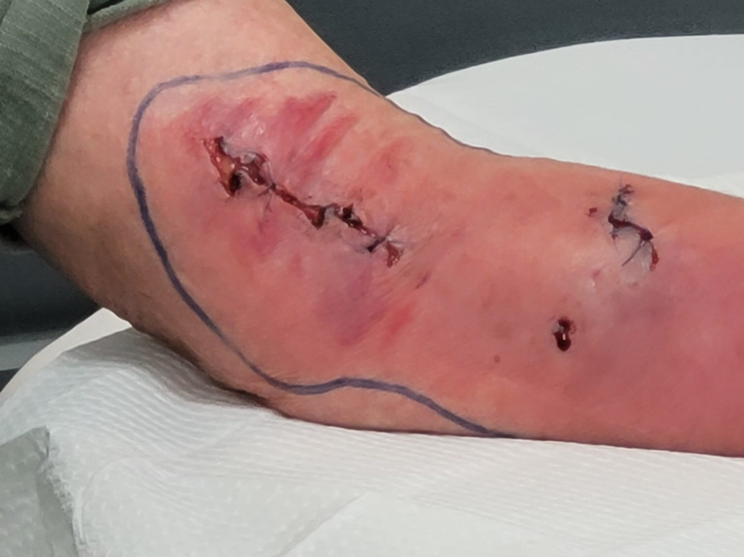 Apes Den-直布罗陀必去景点