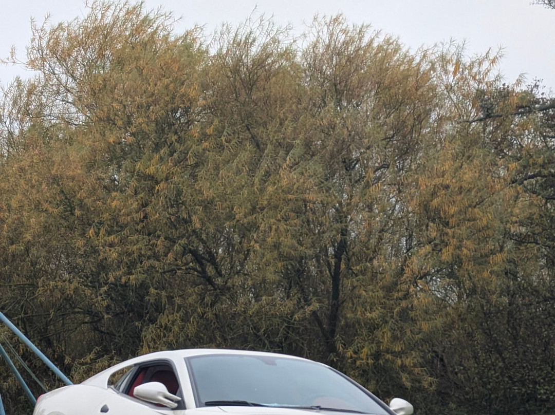 Car Chase Heroes-罗契斯特必去景点