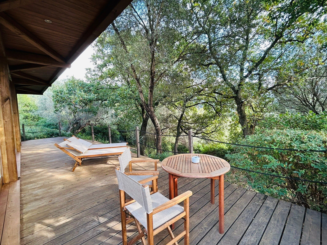 波焦艾桑蒂酒店主图