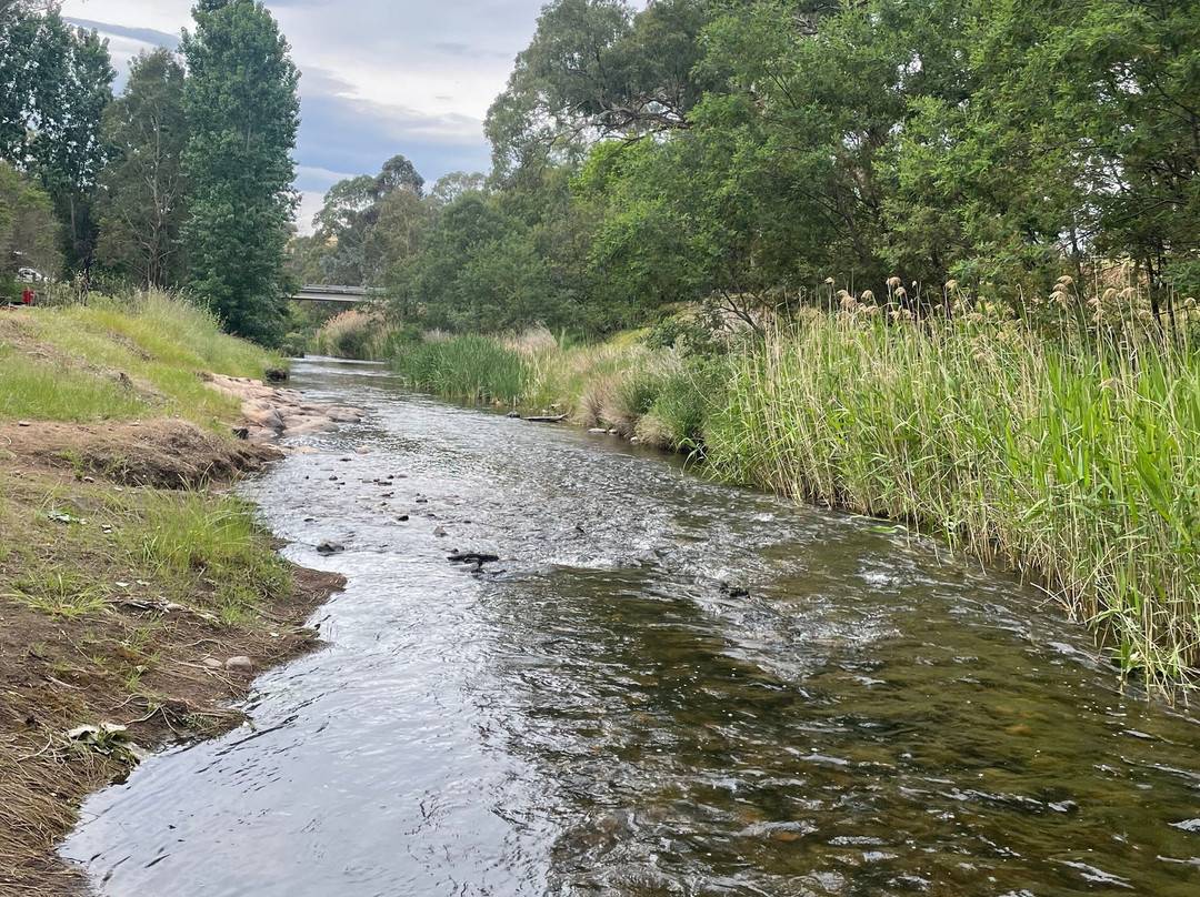 The Creek Playspace-Swifts Creek必去景点