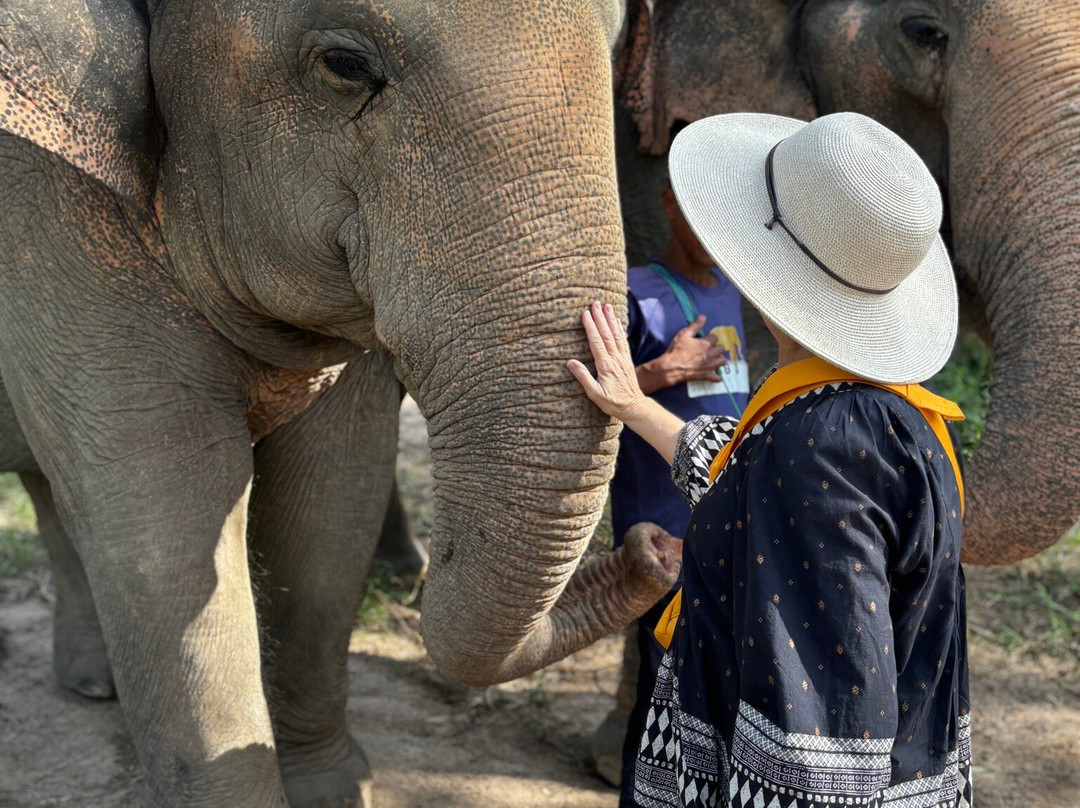 Samui Elephant Sanctuary-波普特必去景点