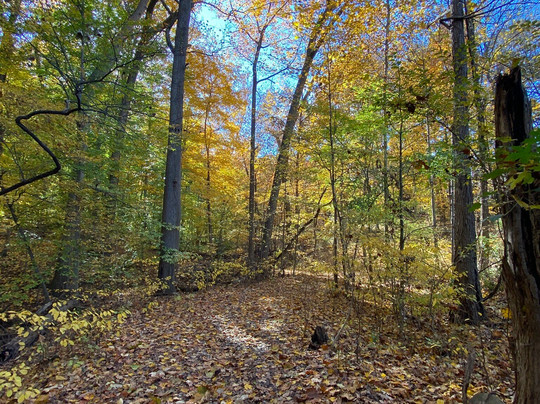 Iroquois Park-路易斯维尔必去景点
