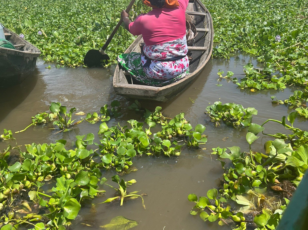 Ganvié Bénin Ecotourisme-Ganvie必去景点