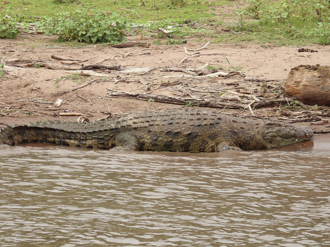 Mufasa Tours and Travels-内罗毕必去景点