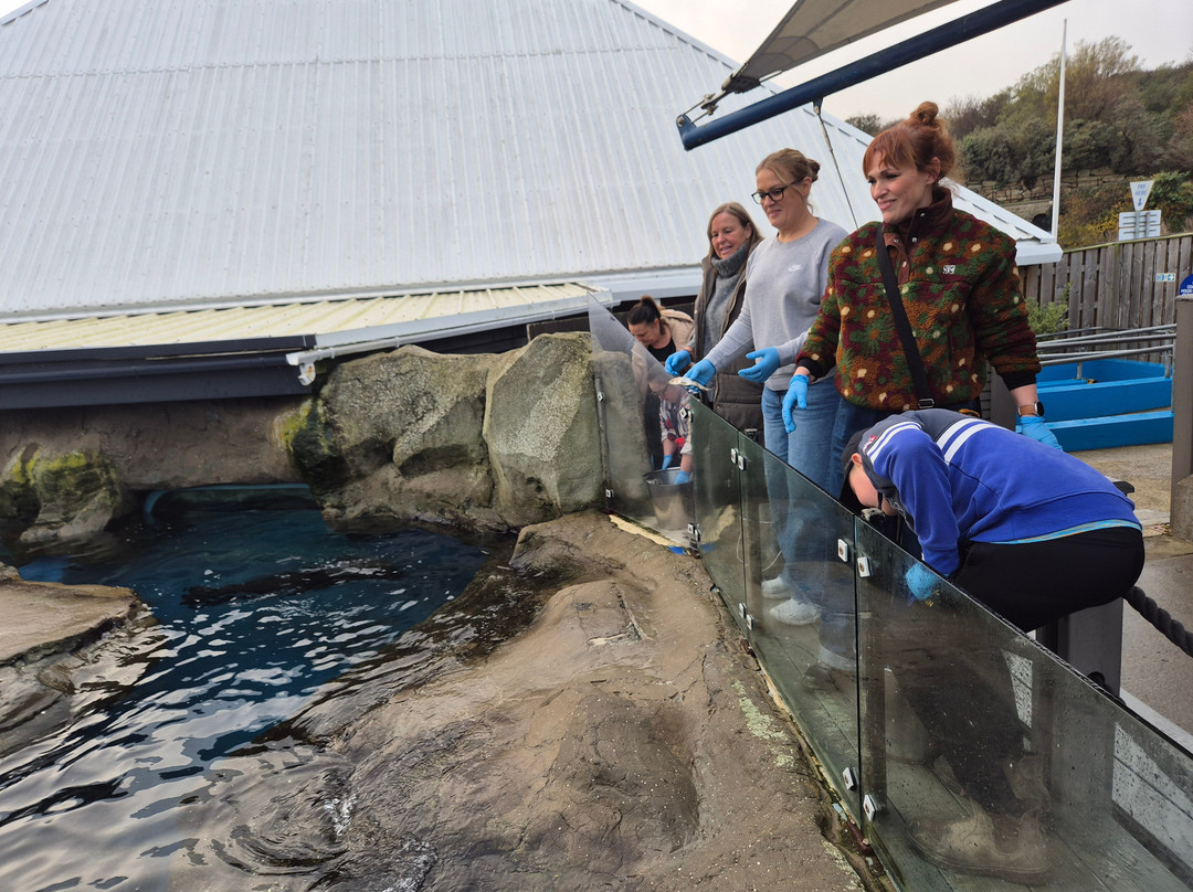 Sea Life Scarborough-斯卡伯勒必去景点