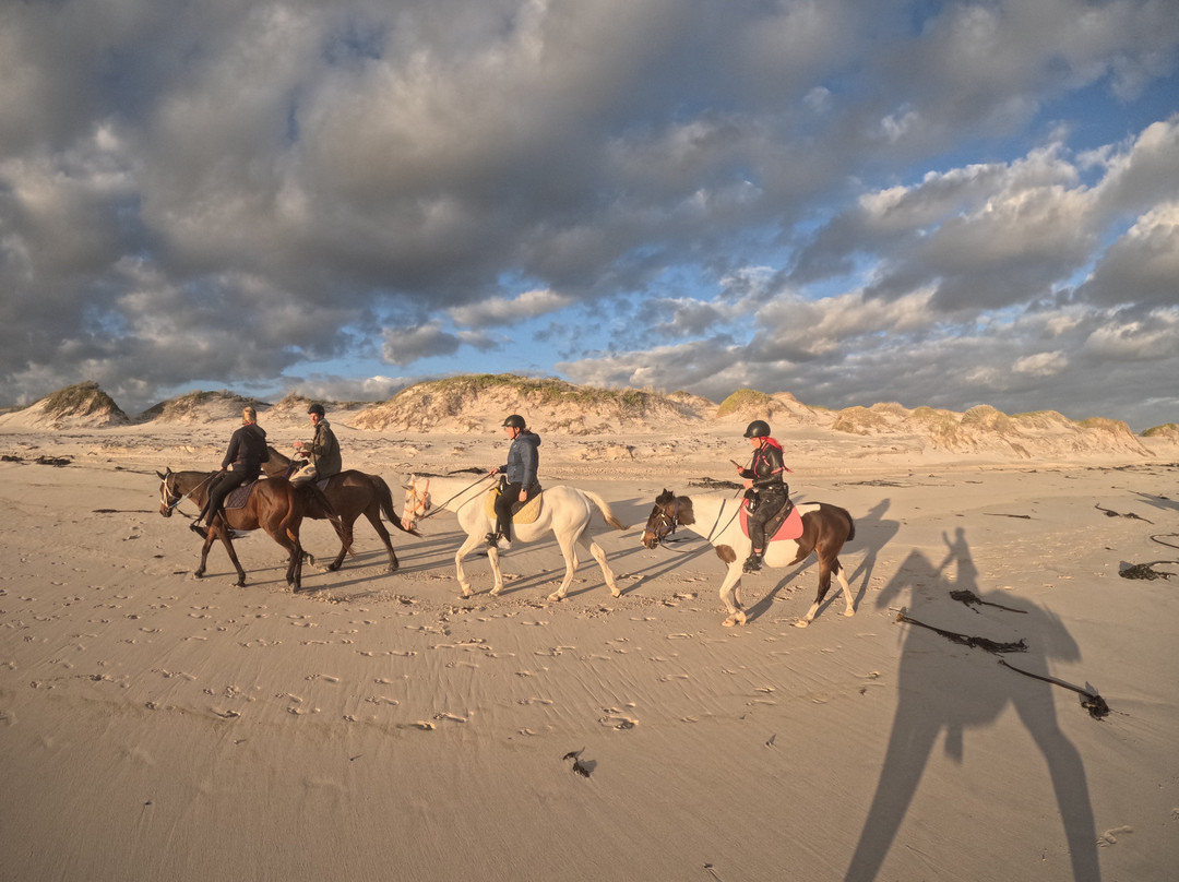 Gansbaai & Pearly Beach Horse Trails-干斯拜必去景点