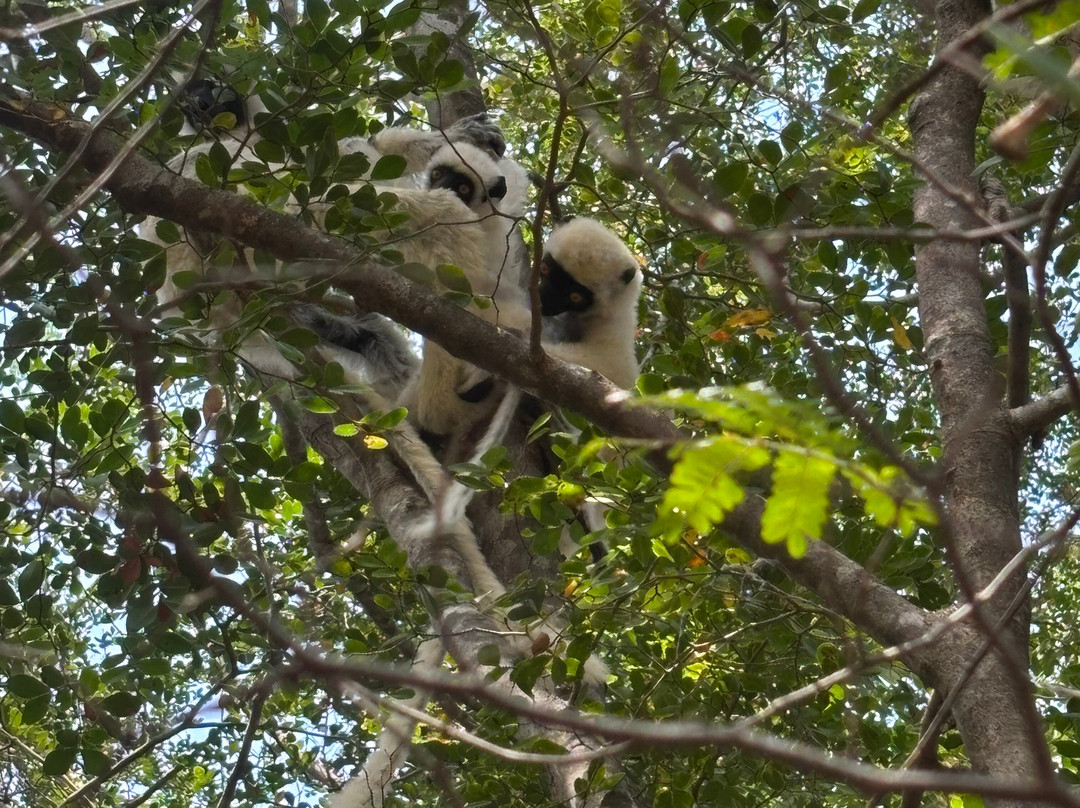 Theo Tours-安塔那那利佛必去景点