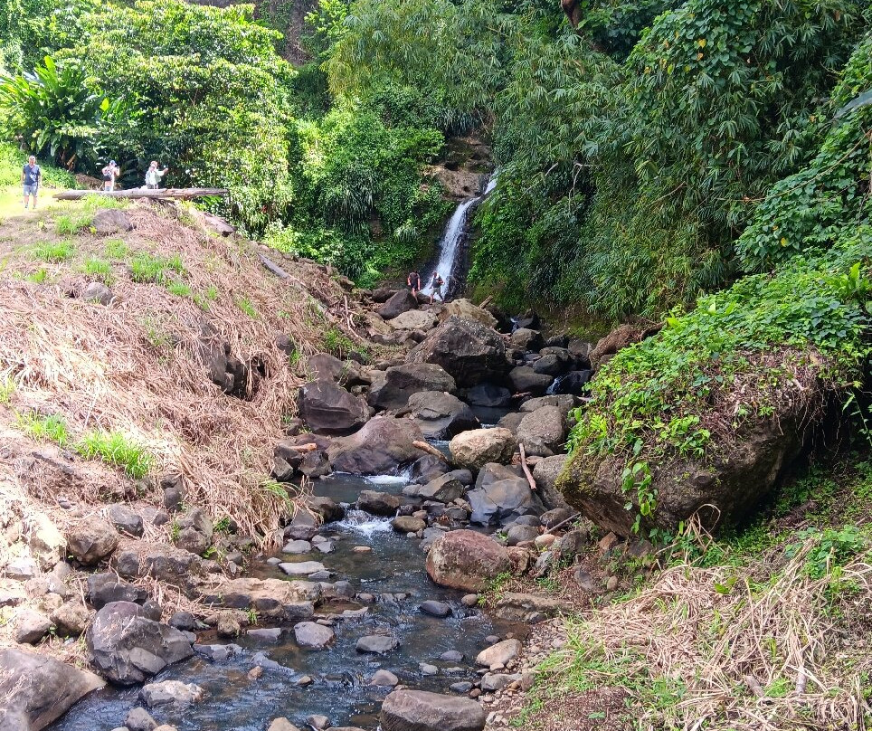Annandale Falls-St. George's必去景点