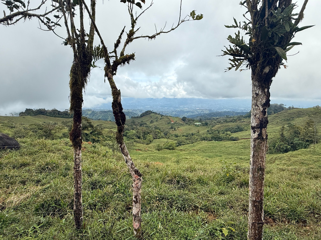 Jungle ATV Quad Tours-乌维塔必去景点
