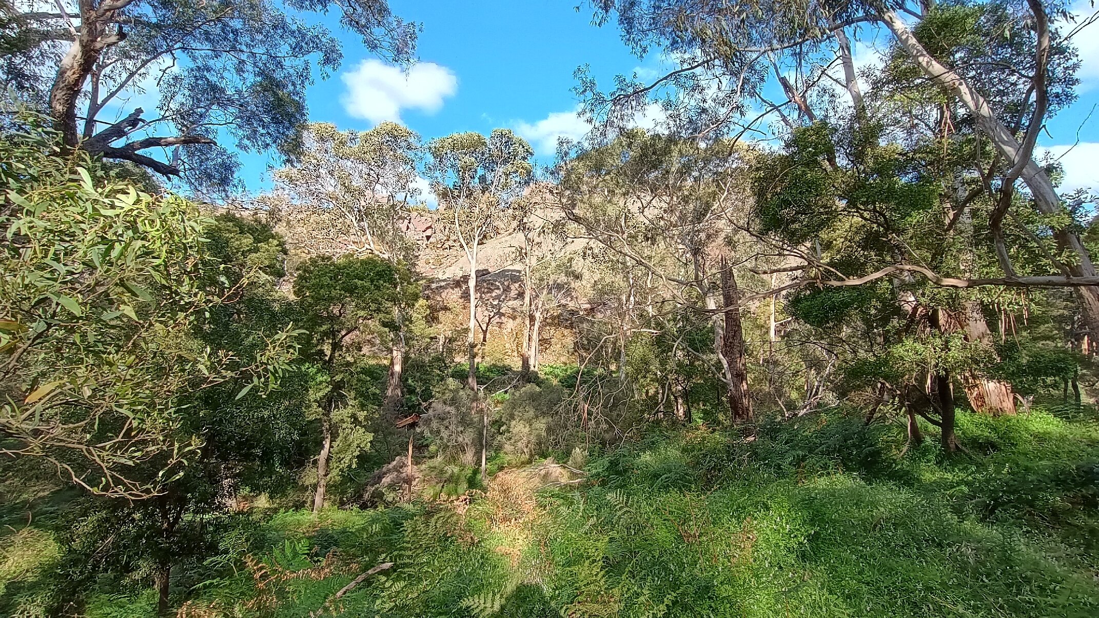 Gariwerd Motel-官方