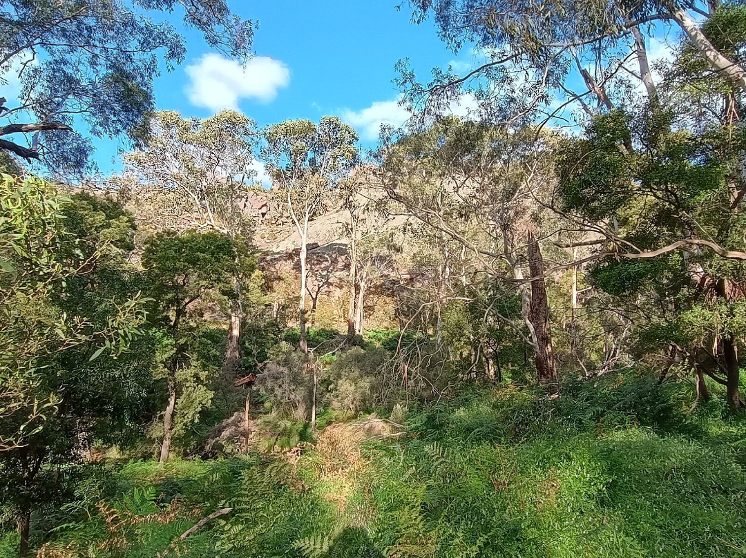 Gariwerd Motel主图