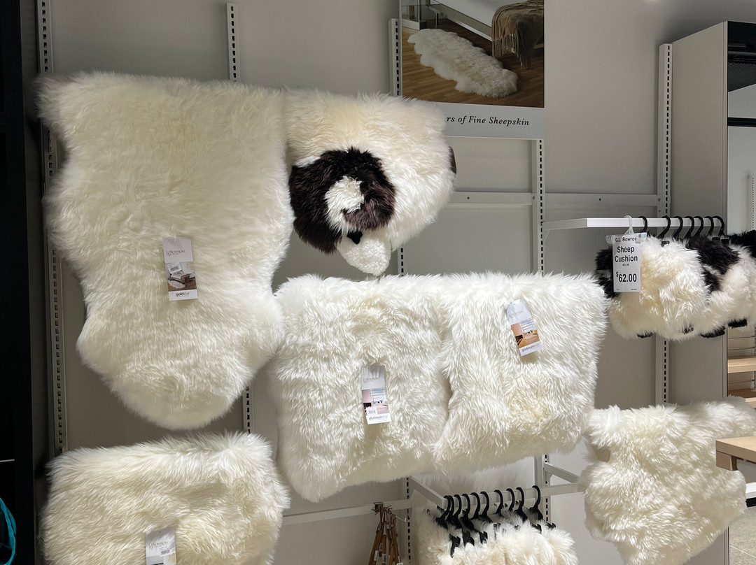 DF纪念品店-皇后镇必去景点