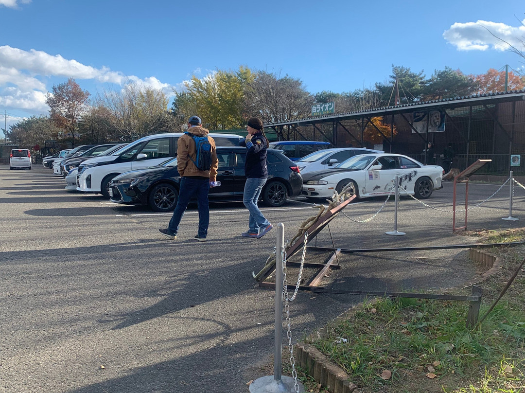 Tohoku Safari Park-二松本市必去景点