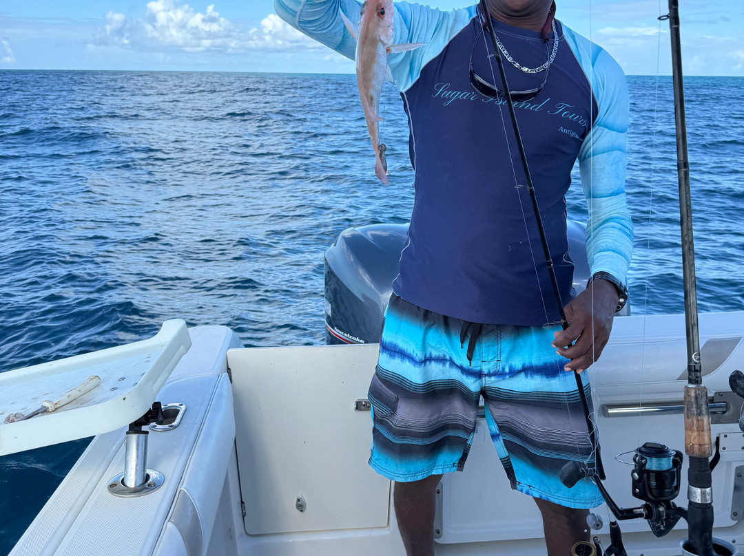 Sugar Island Tours-Jolly Harbour必去景点