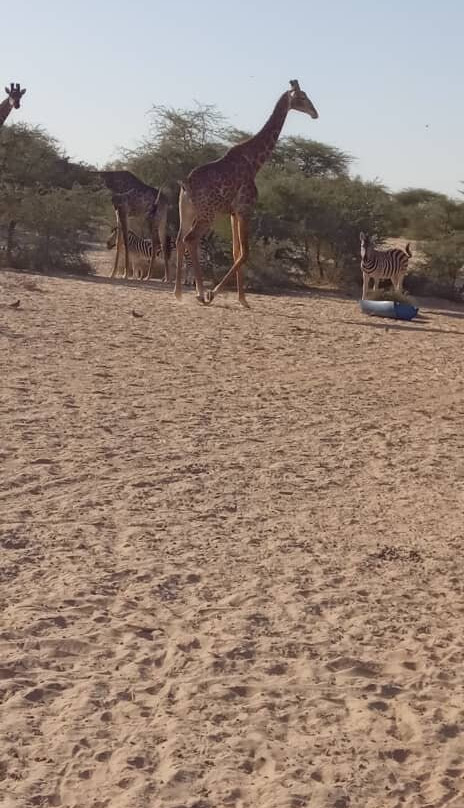 Parc National D'awleigatt - Pna-诺克少必去景点