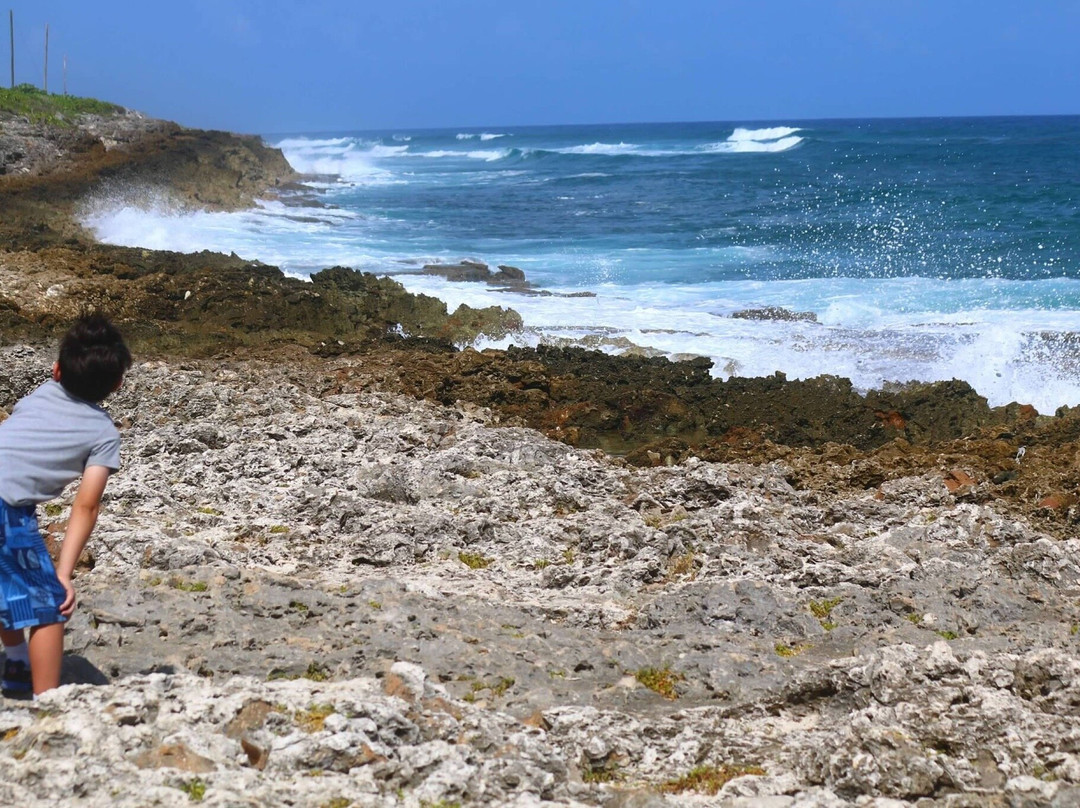 Blow Holes-大开曼岛必去景点