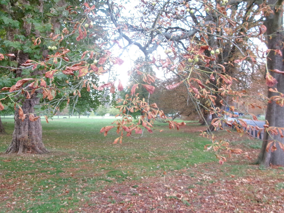 Jesus Green-剑桥必去景点