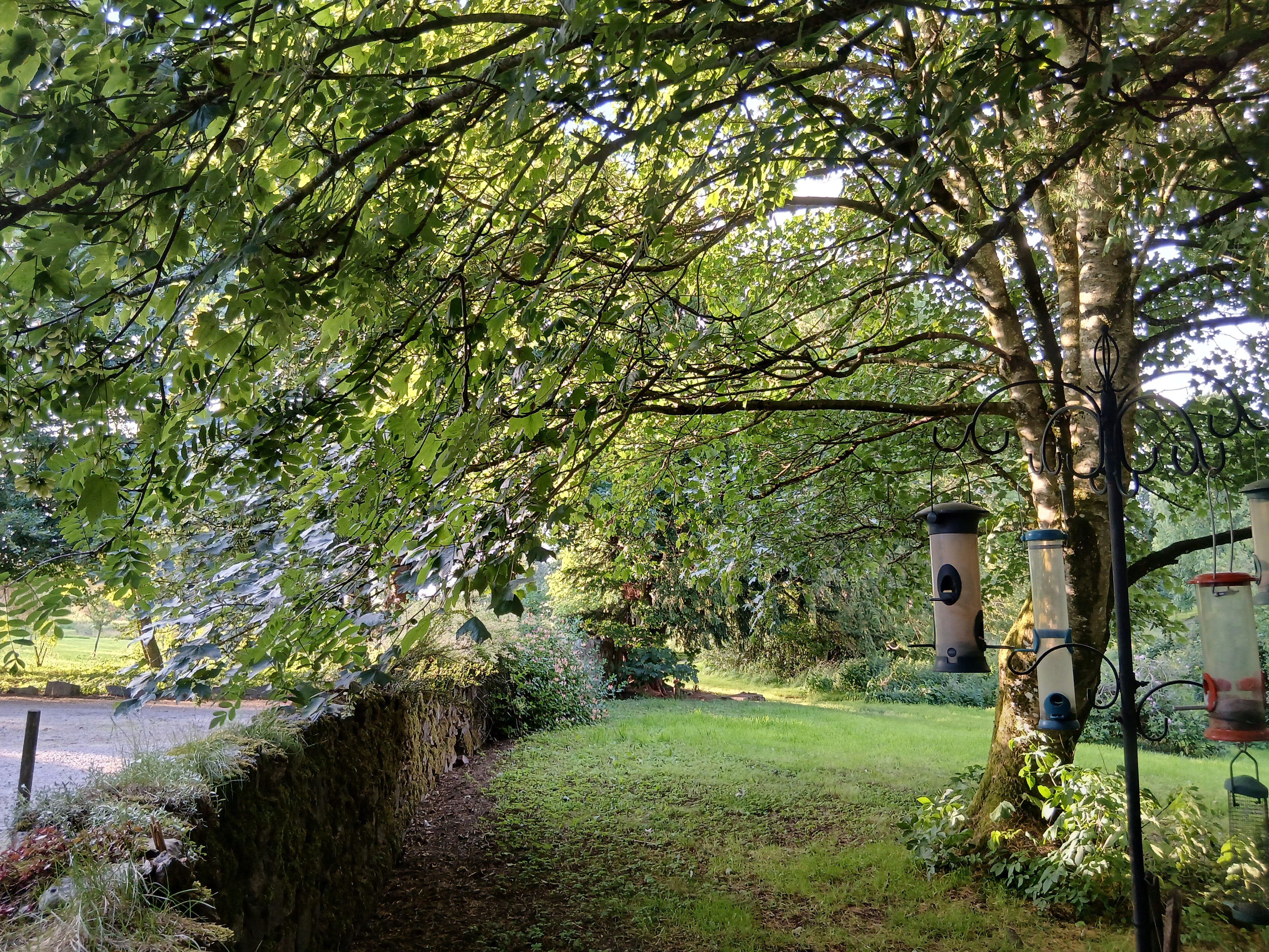 Disblair House Hotel-浴室