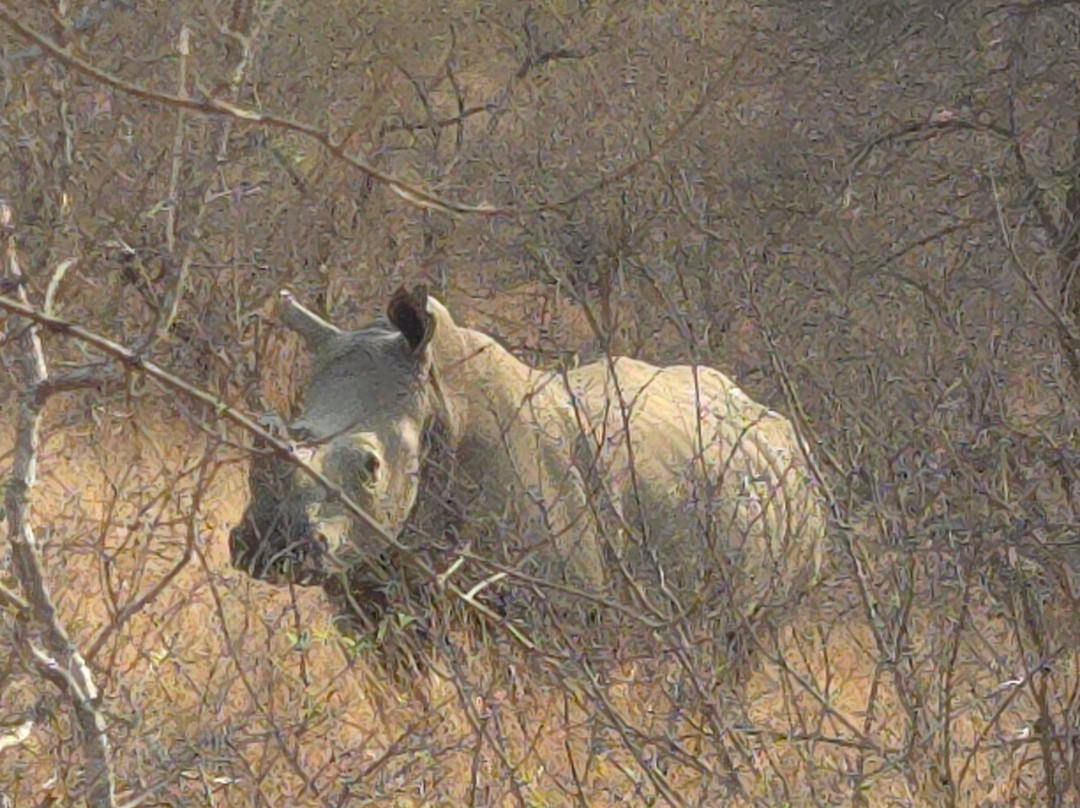 Moriti Private Safaris-克鲁格国家公园必去景点