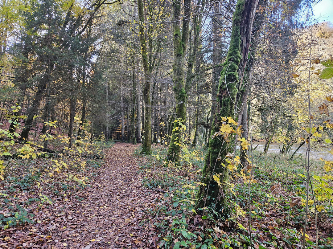 Chateau de La Roche-en-Ardenne-拉罗什—阿登必去景点