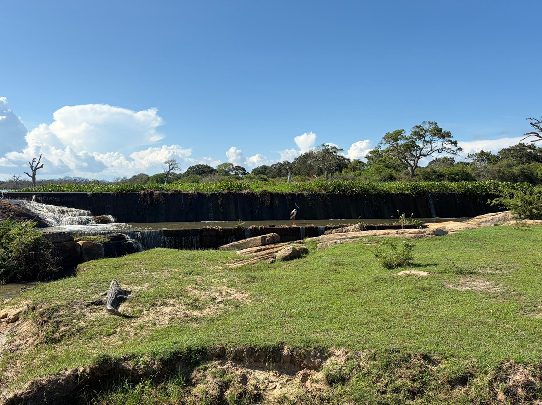 Freedom Safari Jeep Tours-蒂瑟默哈拉默必去景点
