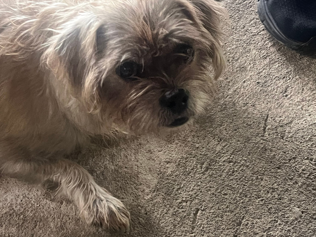 Hotel Rio Lindo主图