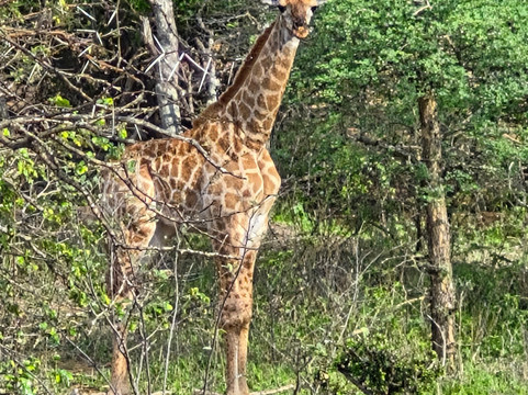 Moafrika Tours-霍德斯普鲁特必去景点