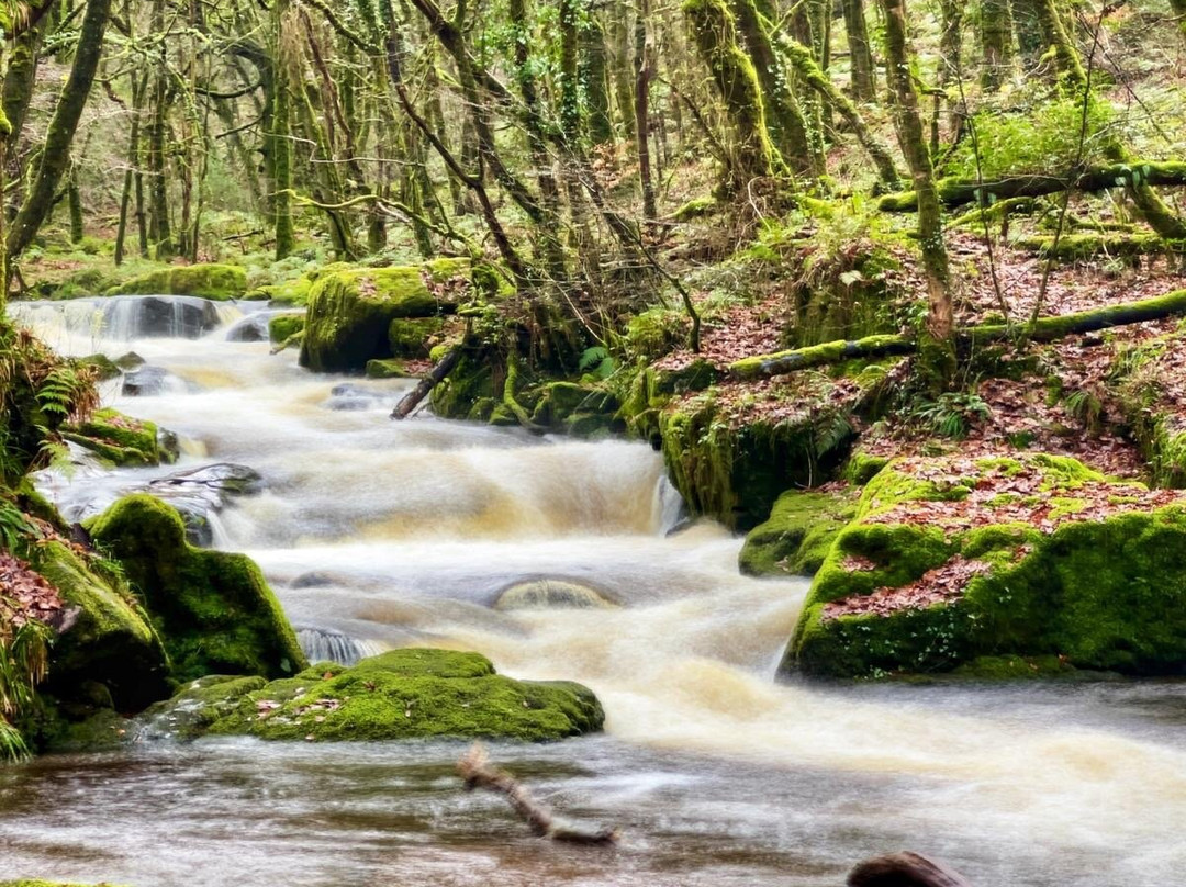 Golitha Falls-利斯卡德必去景点