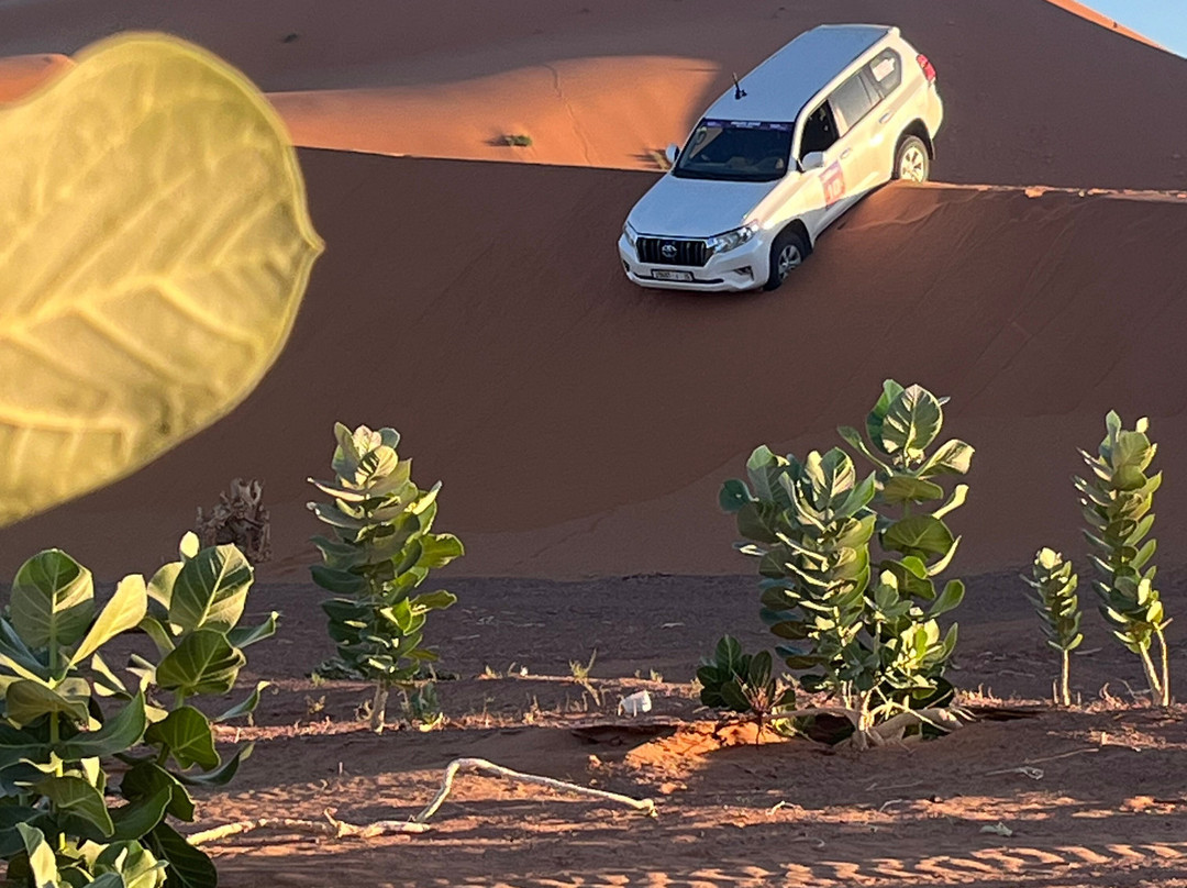 Pegase Drive-Schirmeck必去景点