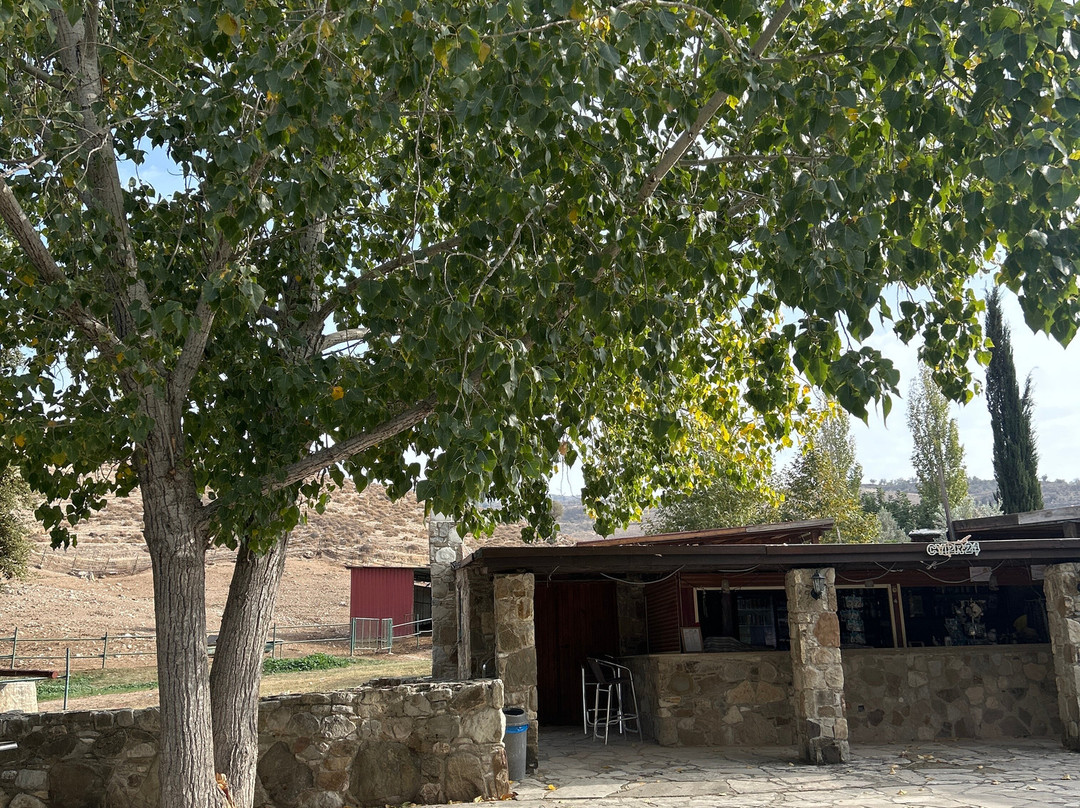 Argonaftis Tours - Kelokedara Donkey Farm-帕福斯必去景点