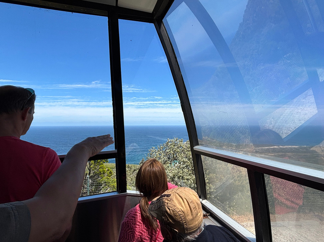 Flying Dutchman Funicular-开普敦中心区必去景点