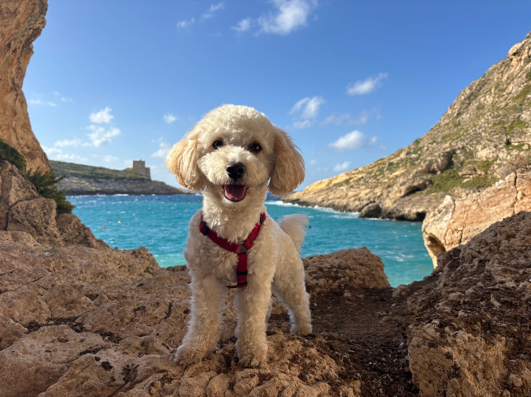 Freeways Auto Rentals-卡拉必去景点