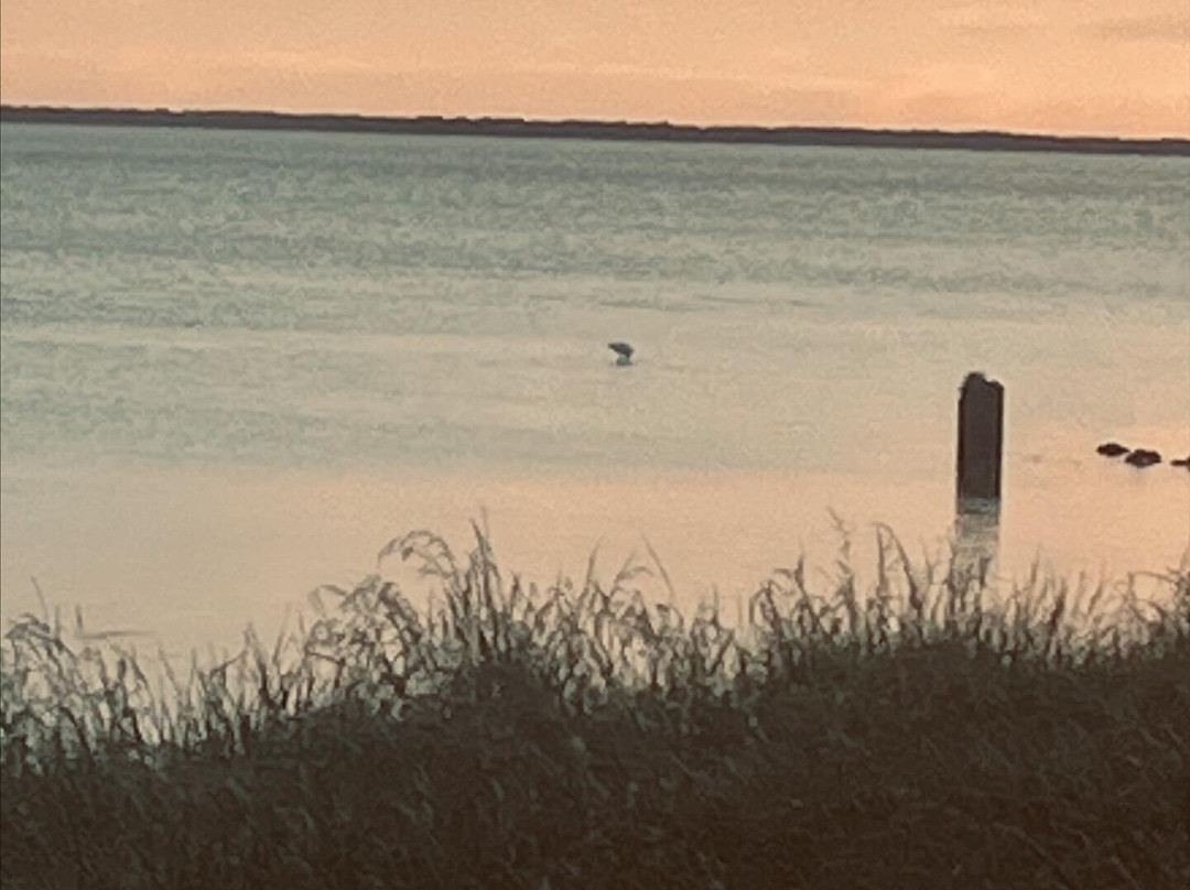 Lake Wairarapa-Featherston必去景点