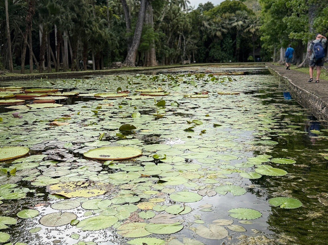 Taxi Mauritius Transfer-博巴森-荷津必去景点