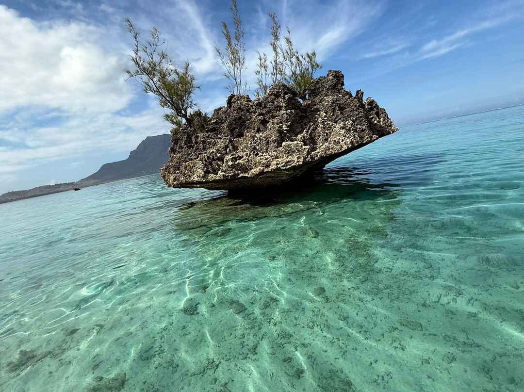 Dolphin Warrior-La Gaulette必去景点