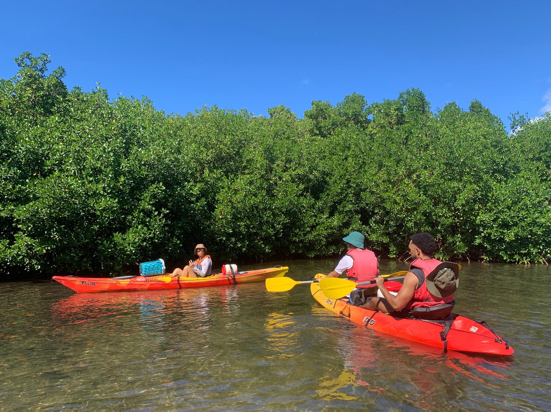Yalodé Kayak Canyon Bain De Forêt-瓜德罗普岛必去景点