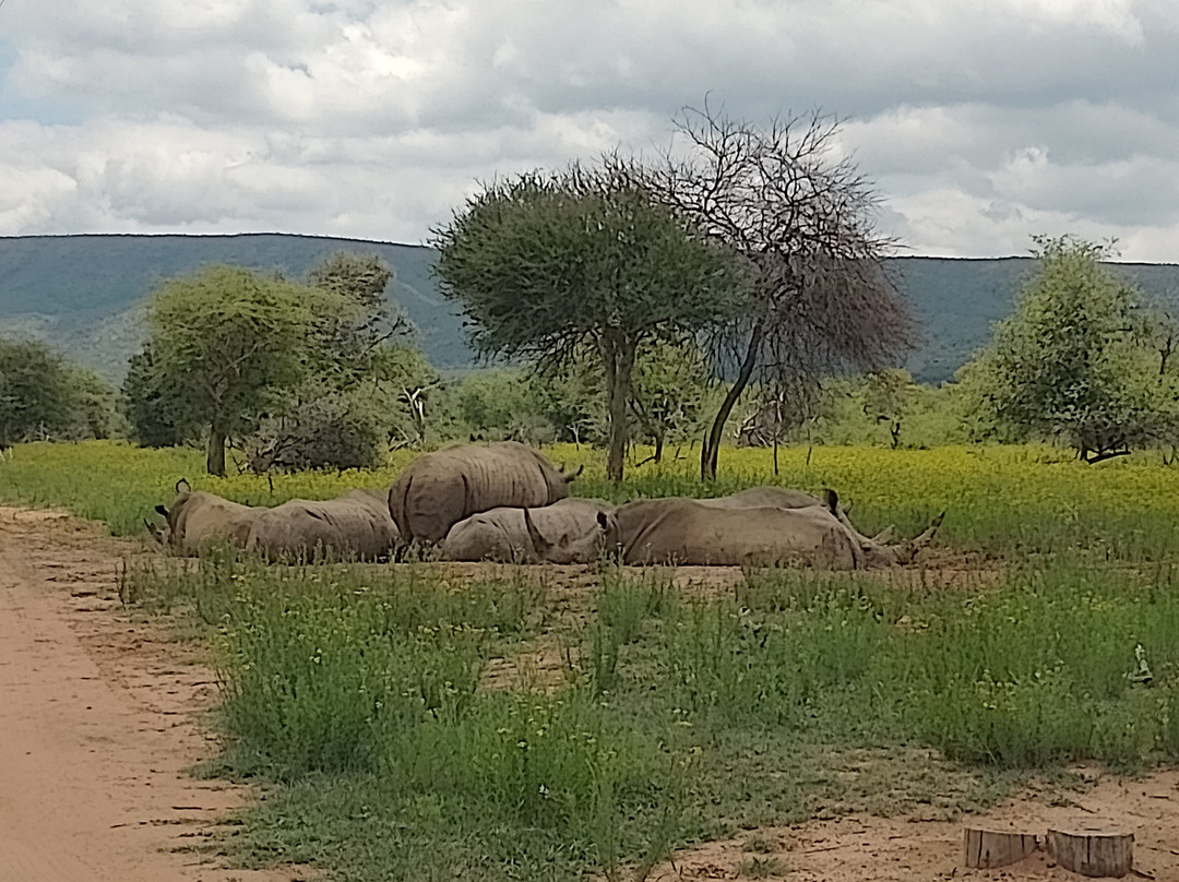 Mabalingwe Nature Reserve-贝拉贝拉必去景点