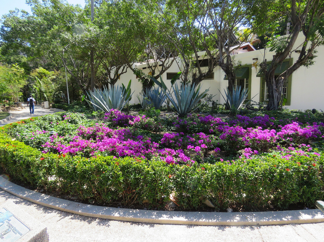 Isla Cuale-瓦拉塔港必去景点