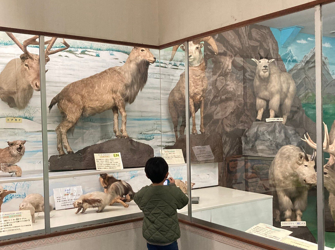 Tsuyama Nature & Mystery Museum-津山市必去景点