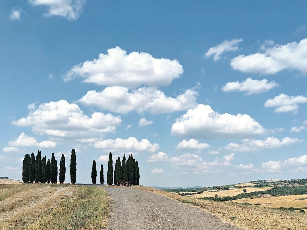 Cipressi di San Quirico d'Orcia-圣奎里科多尔恰必去景点
