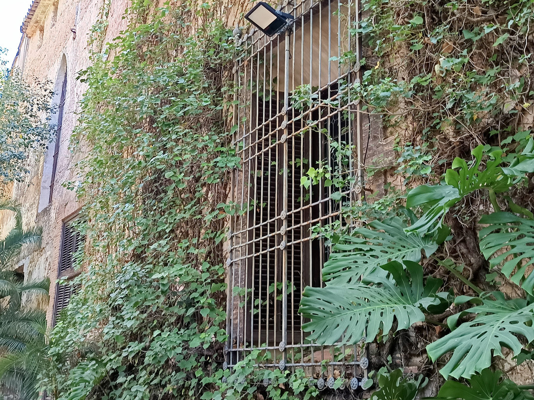 Monestir de Sant Jeroni de Cotalba-Alfauir必去景点