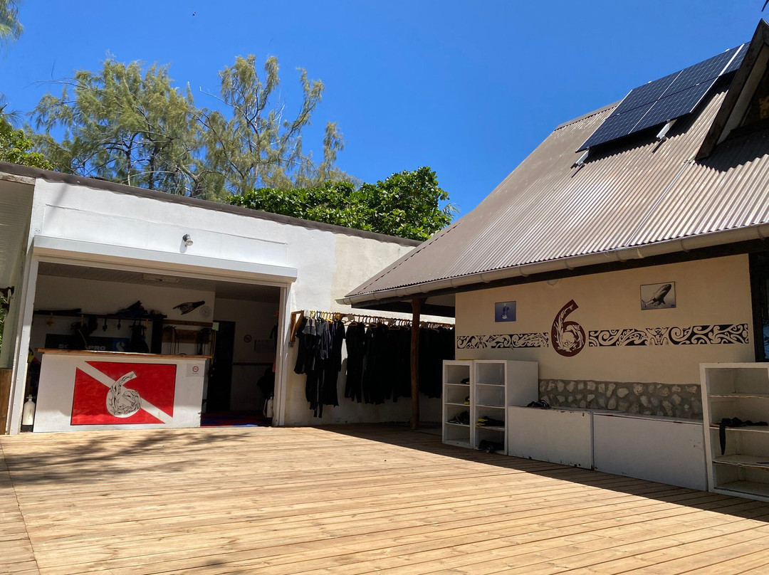 The Six Passengers-阿瓦托鲁必去景点