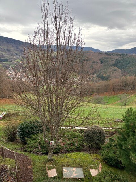 Les Alisiers Hotel-Restaurant主图